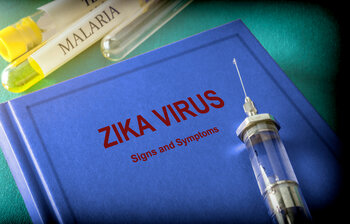 Zika virus: onderzoek naar vaccins