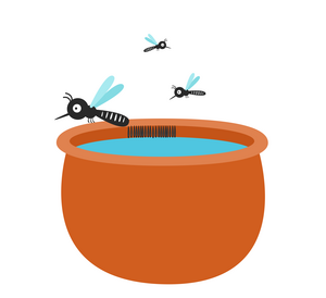 Stilstaand water in een bloempot. Dit is een potentiële broedplaats voor muggen