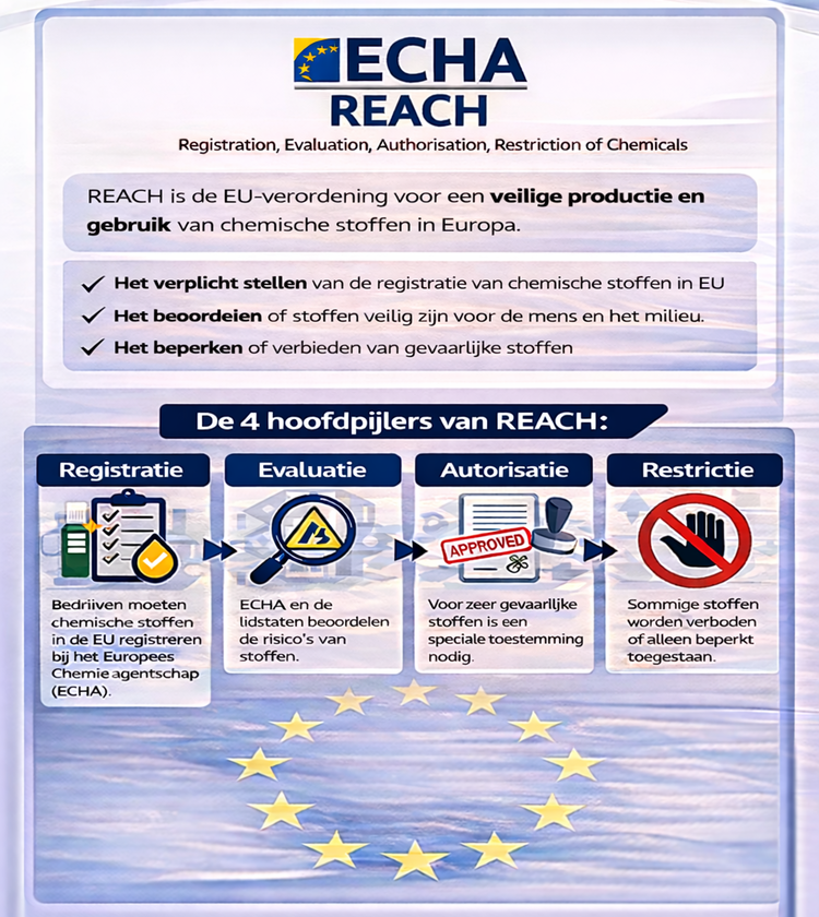 Infographic over de REACH-verordening
